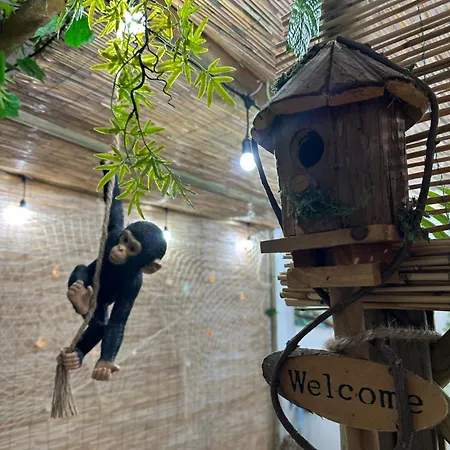 La Casa Delle Conchiglie *